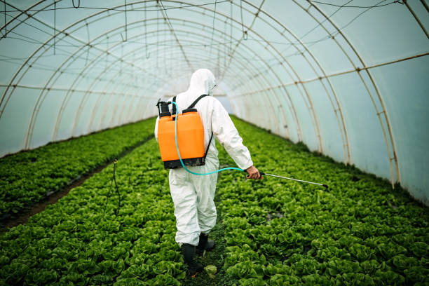 Best Pest Inspection Near Me  in Lexico, CA