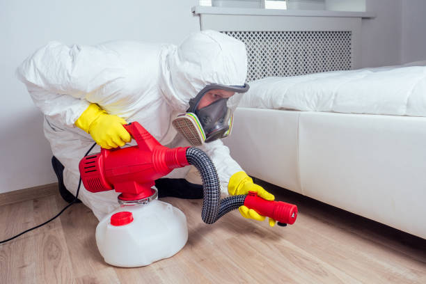 Best Pest Prevention Services  in Lexico, CA