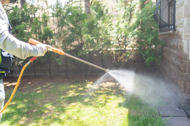 Wildlife Control Services in Calexico, CA