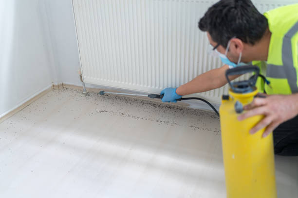 Best Exterminator Services  in Lexico, CA